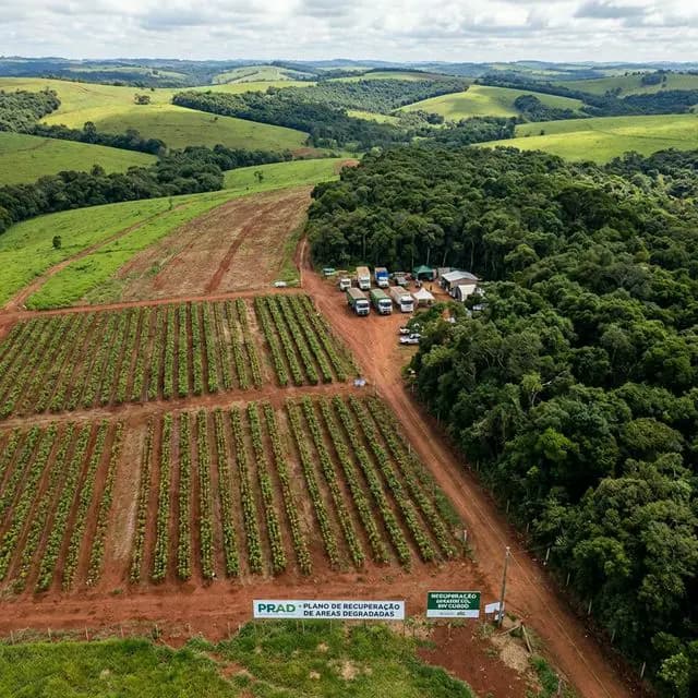 Fazenda Café Aventureiro