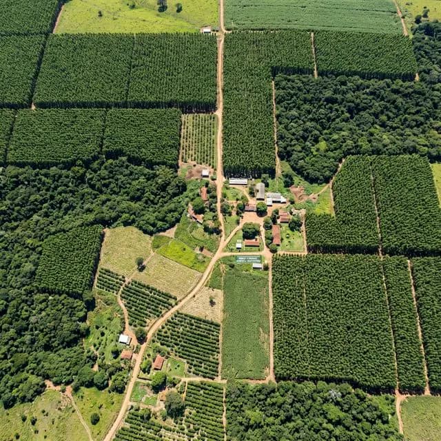 Fazenda Campestre