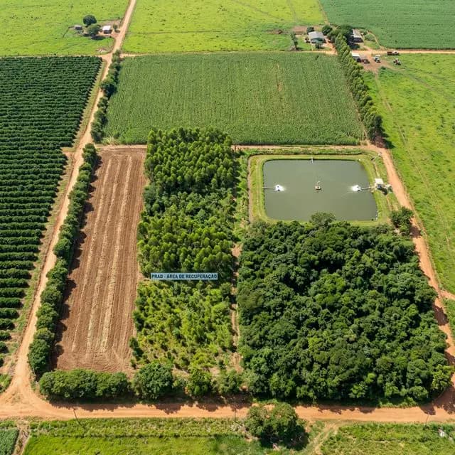 Fazenda Renascer