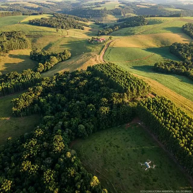 Sítio das Colinas